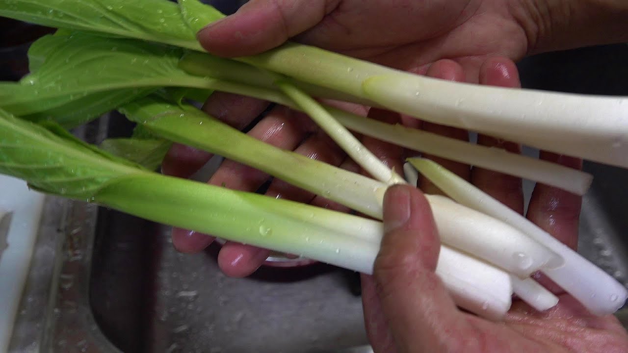 ここの良いとこは山菜が超豊富な事