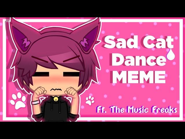 Colors Live - Sad Cat dance? idk by MeadowDaWoof-w