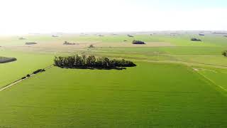 63 Ha. El Socorro. Buenos Aires. Campo en venta