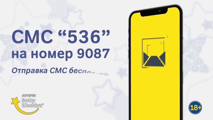 Проверка билета по номеру спортлото - быстро и просто