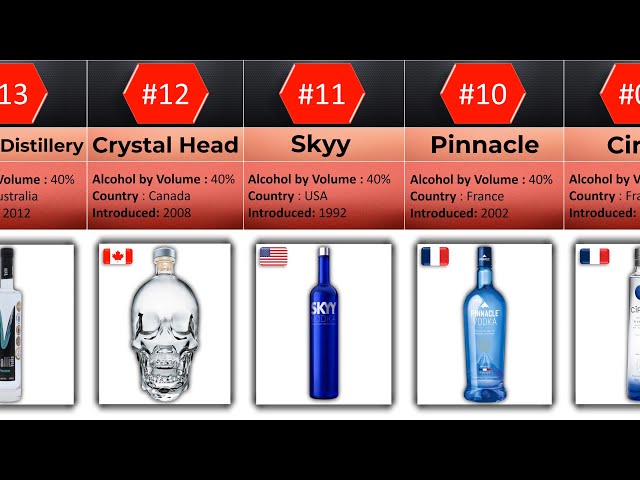 20 Best Vodka Brands Of 2023: EXPENSIVE, CHEAPEST & STRENGTH class=