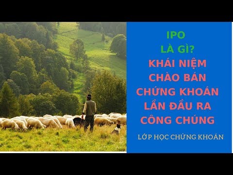 Video: Quy trình chào bán cổ phiếu lần đầu ra công chúng là gì?