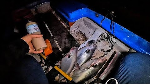 Săn Vồ Đém Tập 7 | Vồ Đém đầu mùa