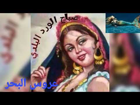 صباح الخير شوف عبدالعزيز محمود