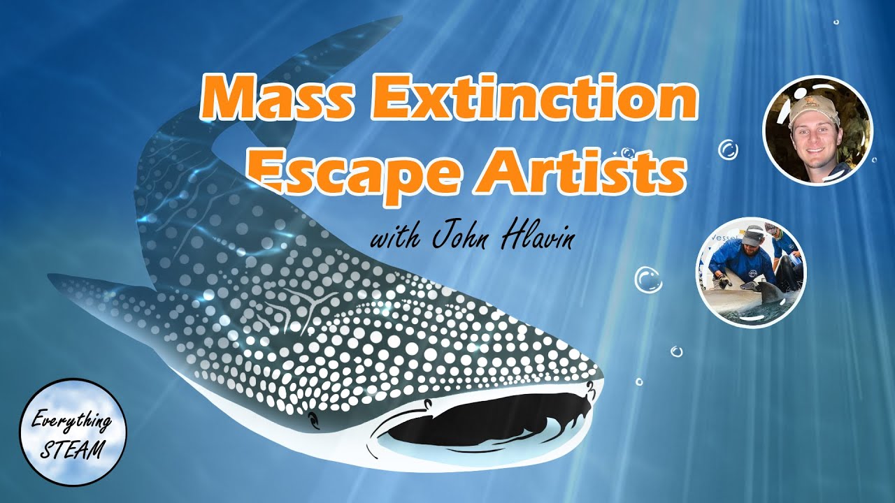 Over 400 Million Years of Sharks w. Marine Bio John | Ep #35