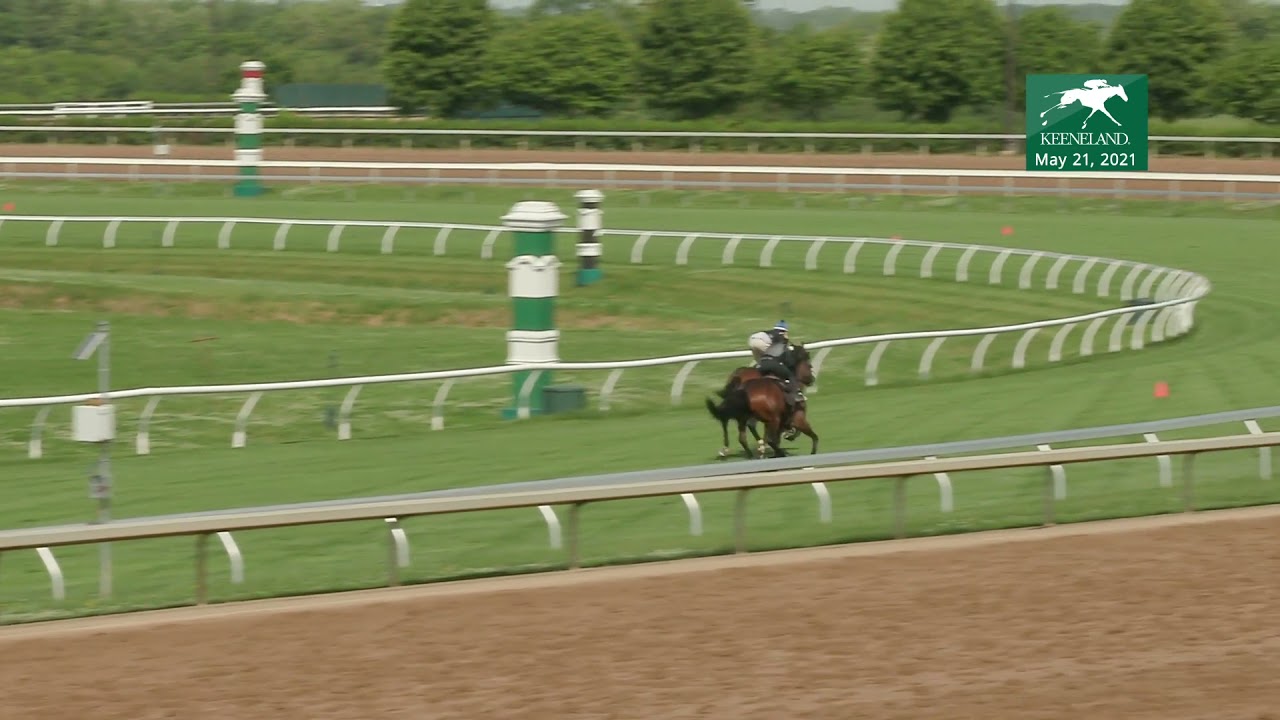 Napa Spirit IRE (Front) Ruthin GB (Back) May 21 Work