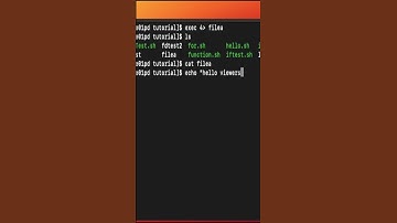 Linux File Descriptor #shorts #linux #programmer #scripting #bash