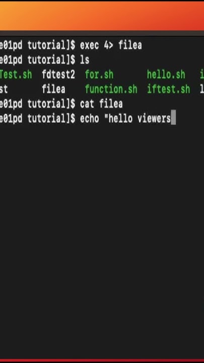 Linux File Descriptor #shorts #linux #programmer #scripting #bash - YouTube