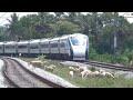 Animals Killed By Train Top Compilation Animals Killed By Train Top Compilation