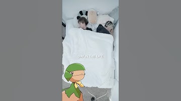 day in the life of a "full-time" streamer