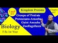Biology Ch#07-Lecture#03  Groups of Protist (F.Sc 1st Year)