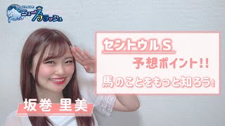 【セントウルS】タフな中京コースで活躍が期待できそうな馬は？