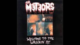 The Meteors - Insane