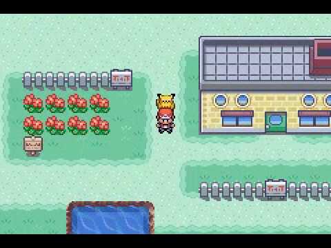 Make A Pokemon Follow Rom Hacking