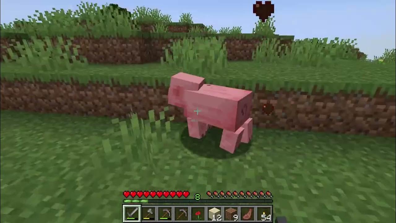 Minecraft survival 1 19 2 youtube