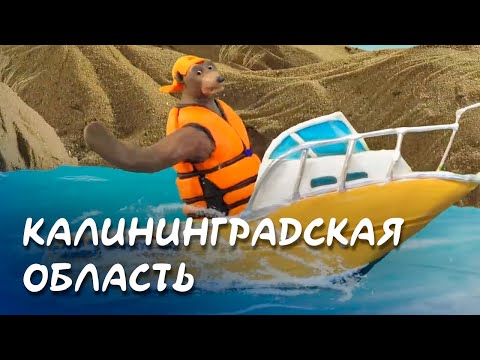 Калининградская область -