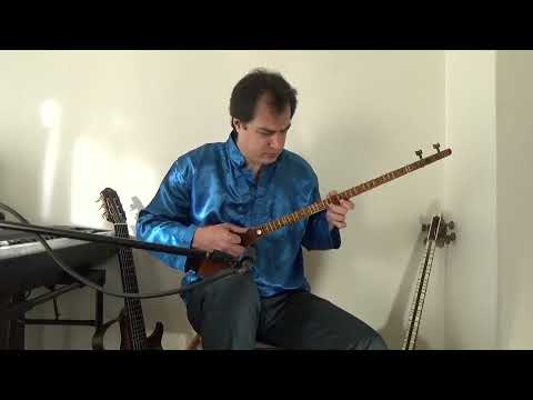 Iranian Tar And Setar Demonstration