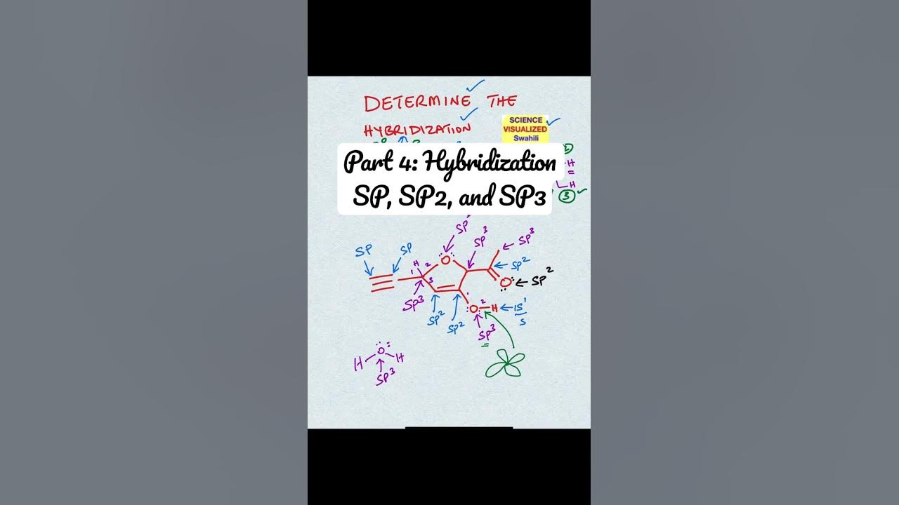 Part 4: Hybridization SP, SP2, and SP3 - YouTube