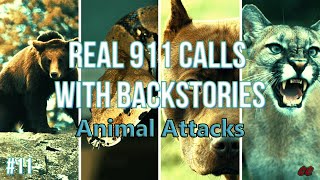 #11 | Animal Attacks | 5 True Emergency Calls With Backstories