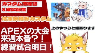 【冷凍妖精みカスタム】カスタム前日練習　サムネは前のやつだけど気にしないで！　チーム10 きつねこサモン♪　狐金ユウキ視点