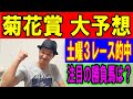 菊花賞大予想　くず競馬10月22日　#菊花賞　#馬券予想 #ガイアフォース #アスクビクターモア