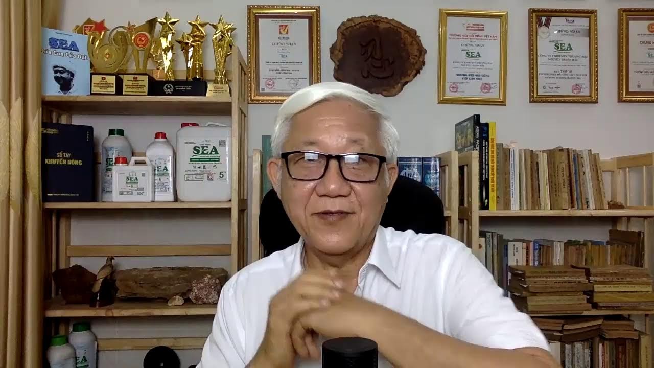 SEA TV Trực tiếp - Số 8 (Gửi câu hỏi về số hotline 0964023467)