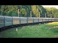 Путешествие на поезде. Житомирская область, вид из окна поезда №099К