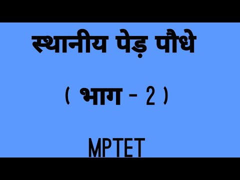 वीडियो: पेड़ों की बायोएनेर्जी। भाग 2