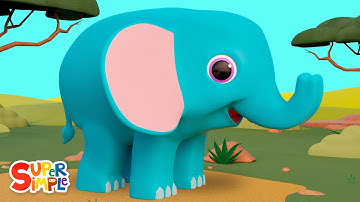 Baby Elephant 🐘 | Get Up And Move Song for Kids! | Super Simple Songs