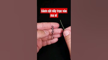 cách cột dây câu cá vào ma ní đơn giản cho người mới #ca #fish #fishing #cauca #fishrecipe #shorts