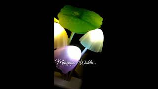 Download Lagu Setengah Mati Merindu Judika Izzamedia Live Cover By Nabila Feat Tofan MP3 Setengah Mati Merindu Judika Izzamedia Live Cover By Nabila Feat Tofan
