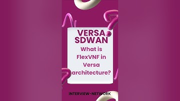 flexvnf in versa sdwan | versa sdwan #sdwan #cisco