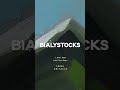Bialystocks - フーテン