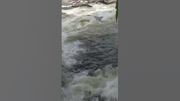 Damodar River, Rajrappa mandir, jharkhand