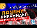 Amir capital и Finiko как связаны между собой финансовые пирамиды?