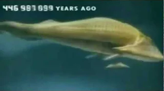 400 million years of evolution , Fat boy slim "Right here Right now" 400 million years of evolution , Fat boy slim "Right here Right now"