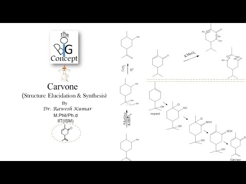 Video: Ist Carvone S oder R?