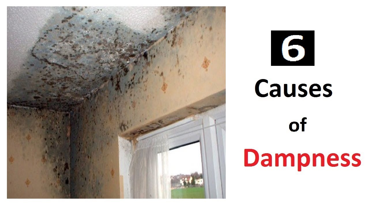 Causes Of Dampness In Walls And Ceilings Youtube