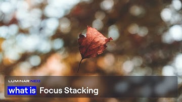Keep everything in focus | Focus Stacking | Luminar Neo