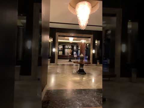 Video: Parhaat St. Louisin hotellit 2022