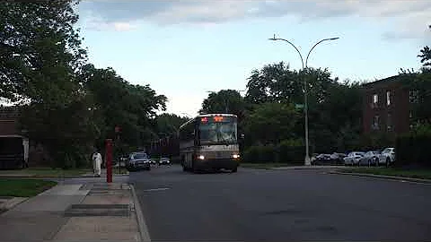 MTA Bus: Midtown bound D4500CL 3007 QM5 at 188 St/64 Av