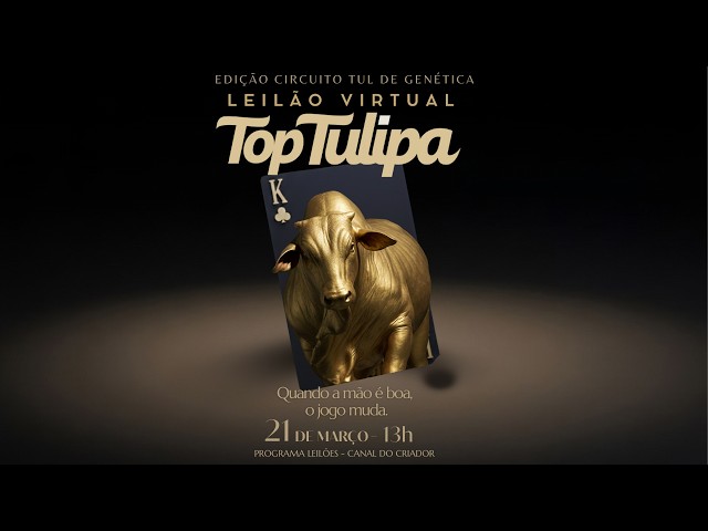 LOTE 36   APKT 272