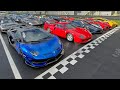 $15 Million Supercar Line Up - F40, Aventador SVJ, 488 EVO, 812 Superfast, GT3 RS JCR, C63 - Sounds!