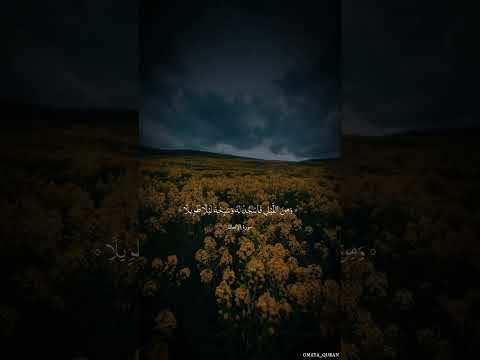 تلاوة بصوت الشاب إسلام صبحي من سورة الإنسان