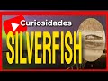 🔴 Cosas que no sabías de los Silverfish【Pececillos de Plata】