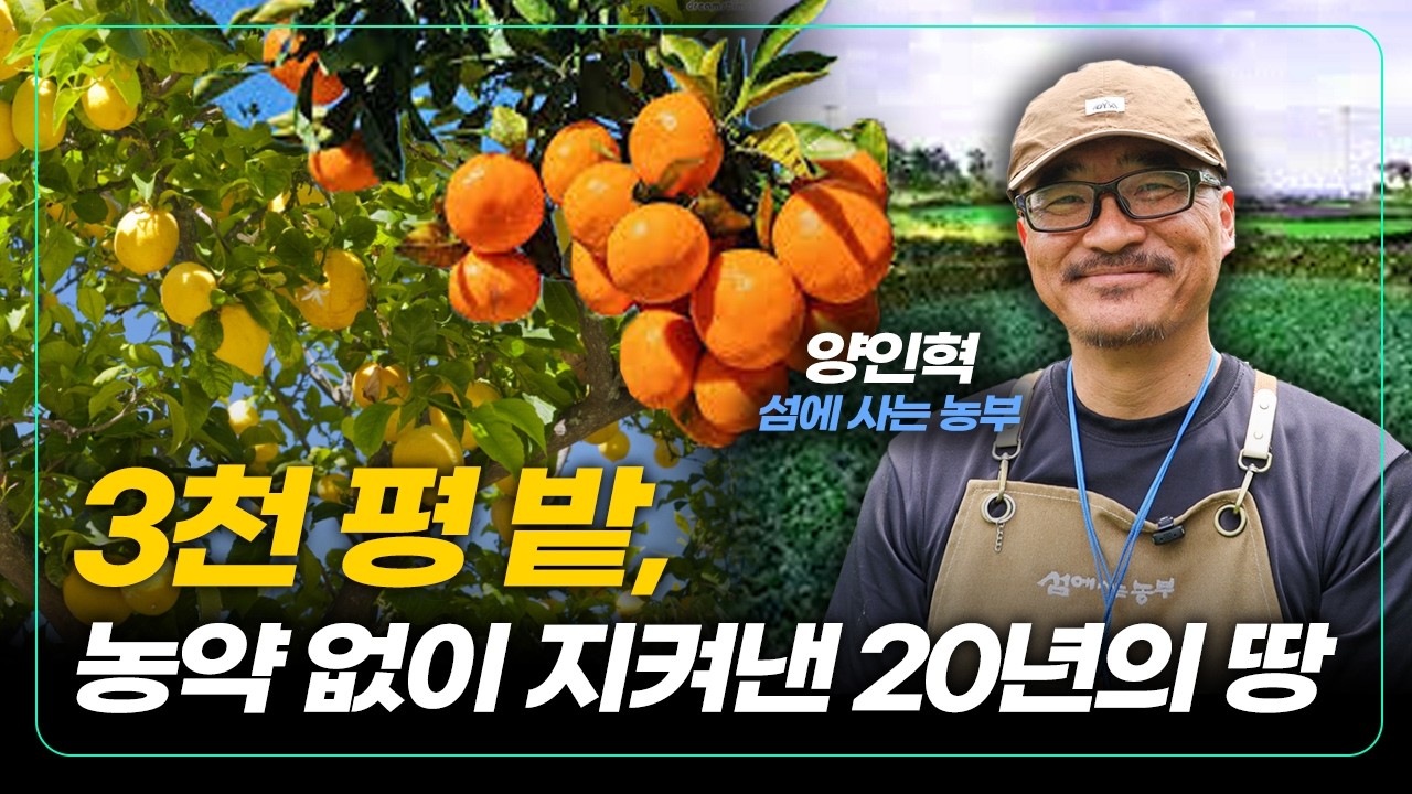 3천 평 밭, 농약 없이 20년간 지켜낸 유기농 레몬! [농업세계]