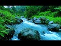 River Sounds for sleeping, Soothing Forest Stream Ambience for deep Sleep and Meditation #river 1