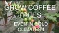 Grow Café from m.youtube.com