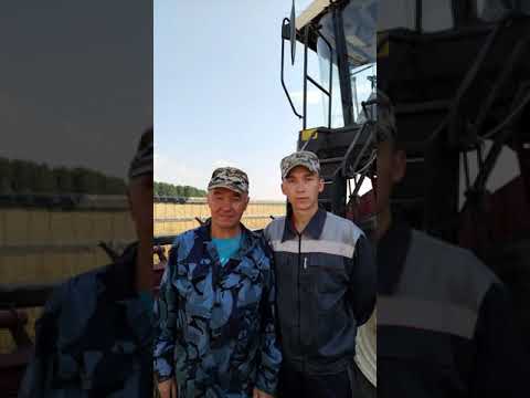 "Дуслык" хуҗалыгында  комбайнчылар аталы-уллы 6-7 сезон бергә уракта