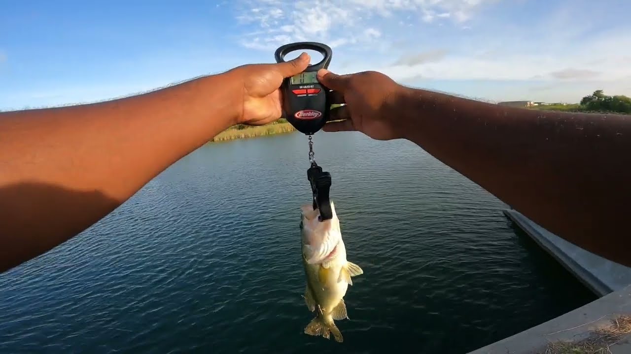 Amateur Hours Bass Fishing